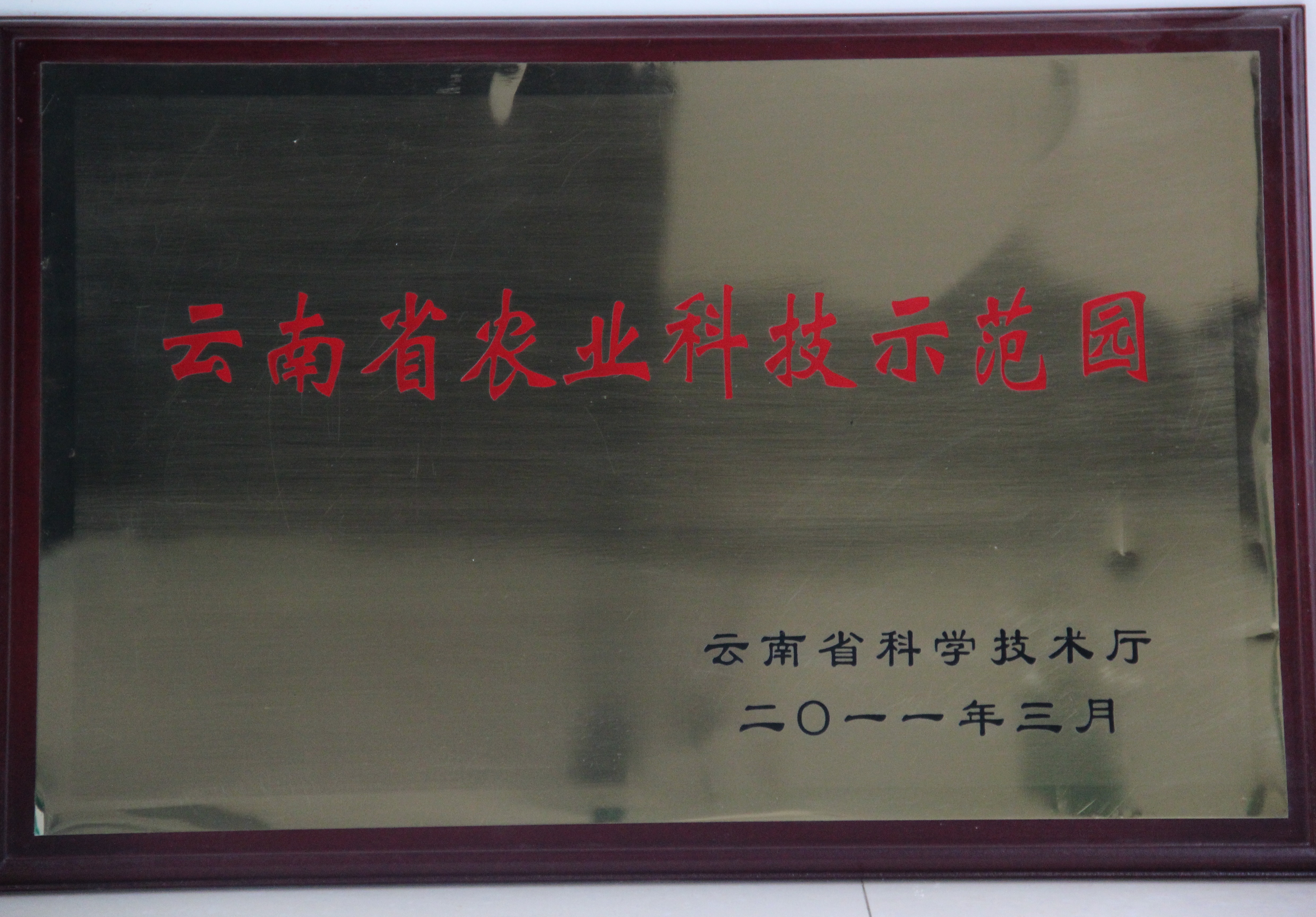 2011年苗鄉(xiāng)三七科技示范園被認(rèn)定為首批云南省農(nóng)業(yè)科技示范園